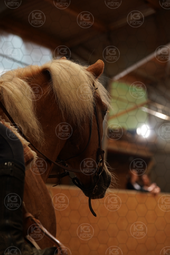 s_A9_08888.jpg